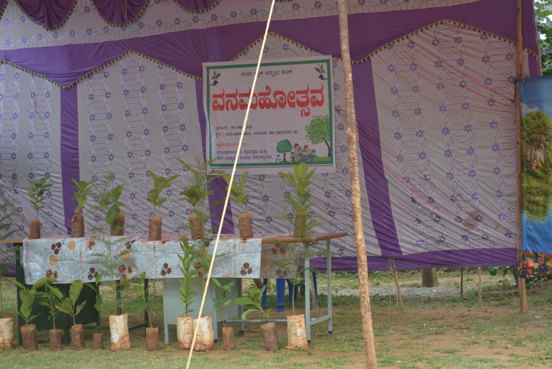 Plantation drive on World Environment day at thanda school